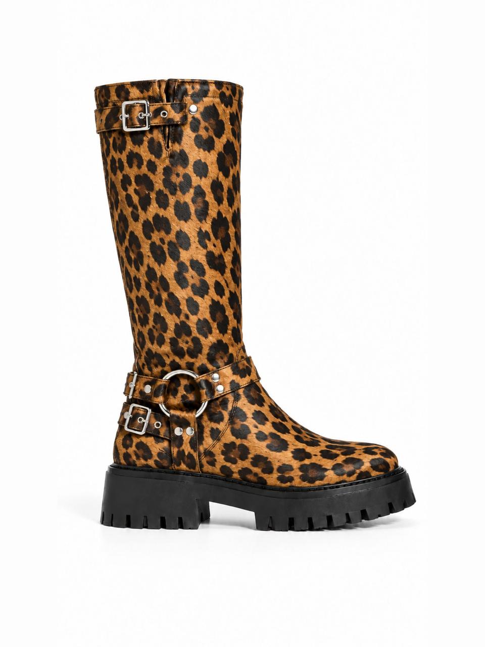 Miedo Leopardo