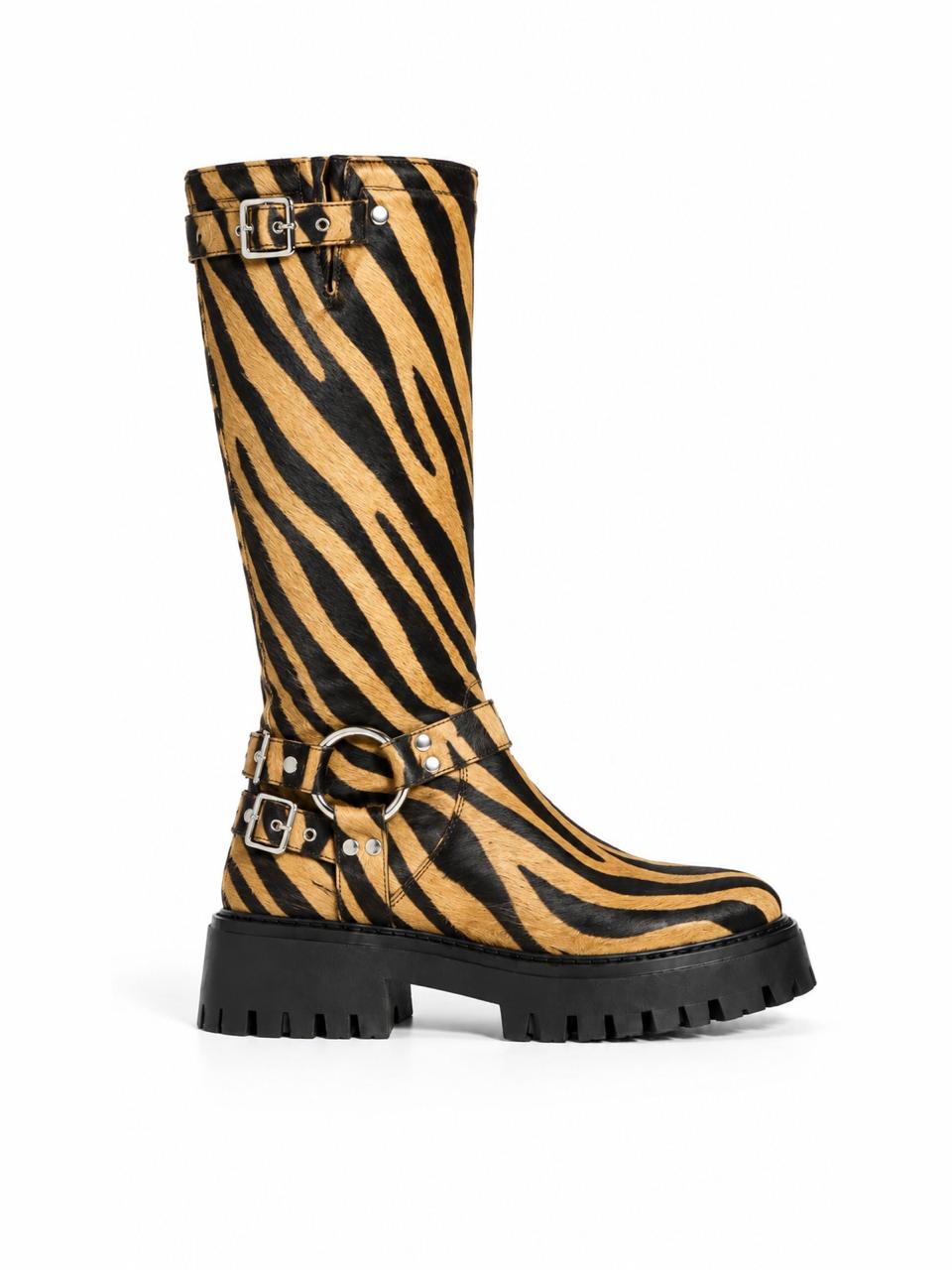 Miedo Tigre